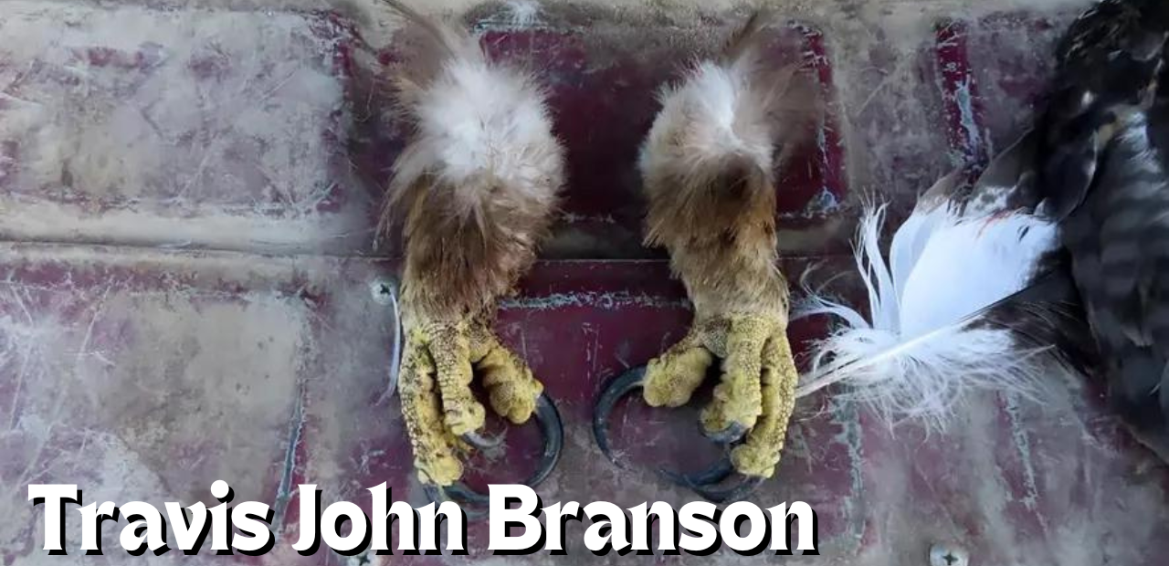 Travis John Branson: Sentencing Set for Man Who Killed 118 Eagles in Montana